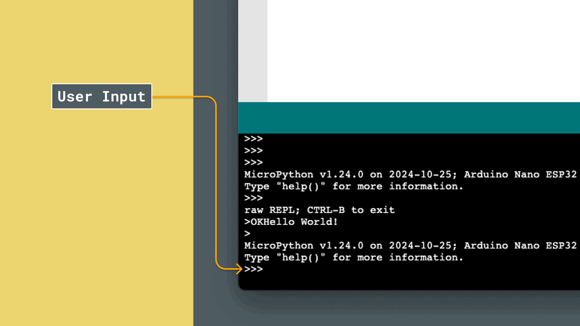 How the REPL works.