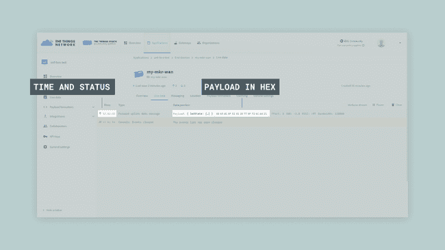 Payload tab in The Things Network console.