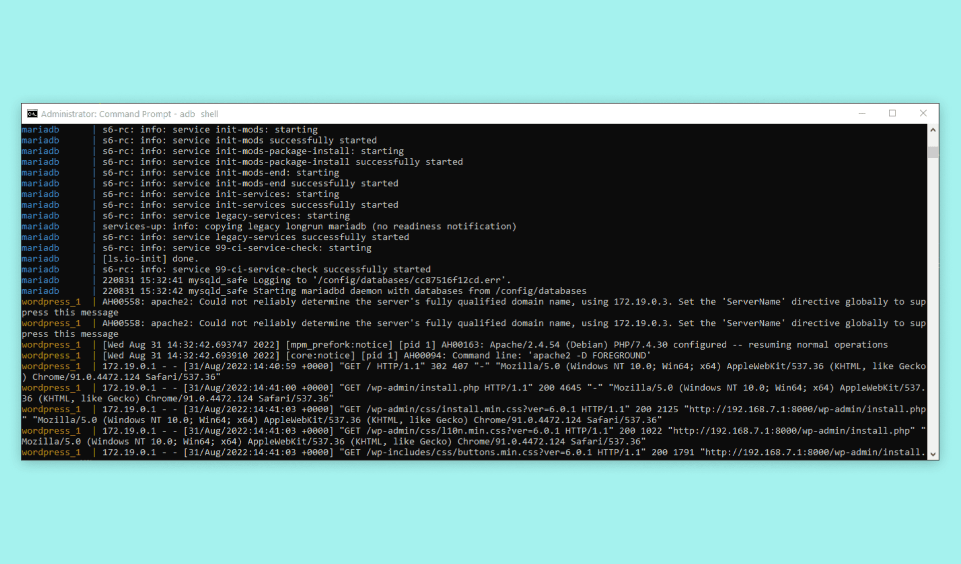 Terminal Website Tutorial Terminal printout during connection